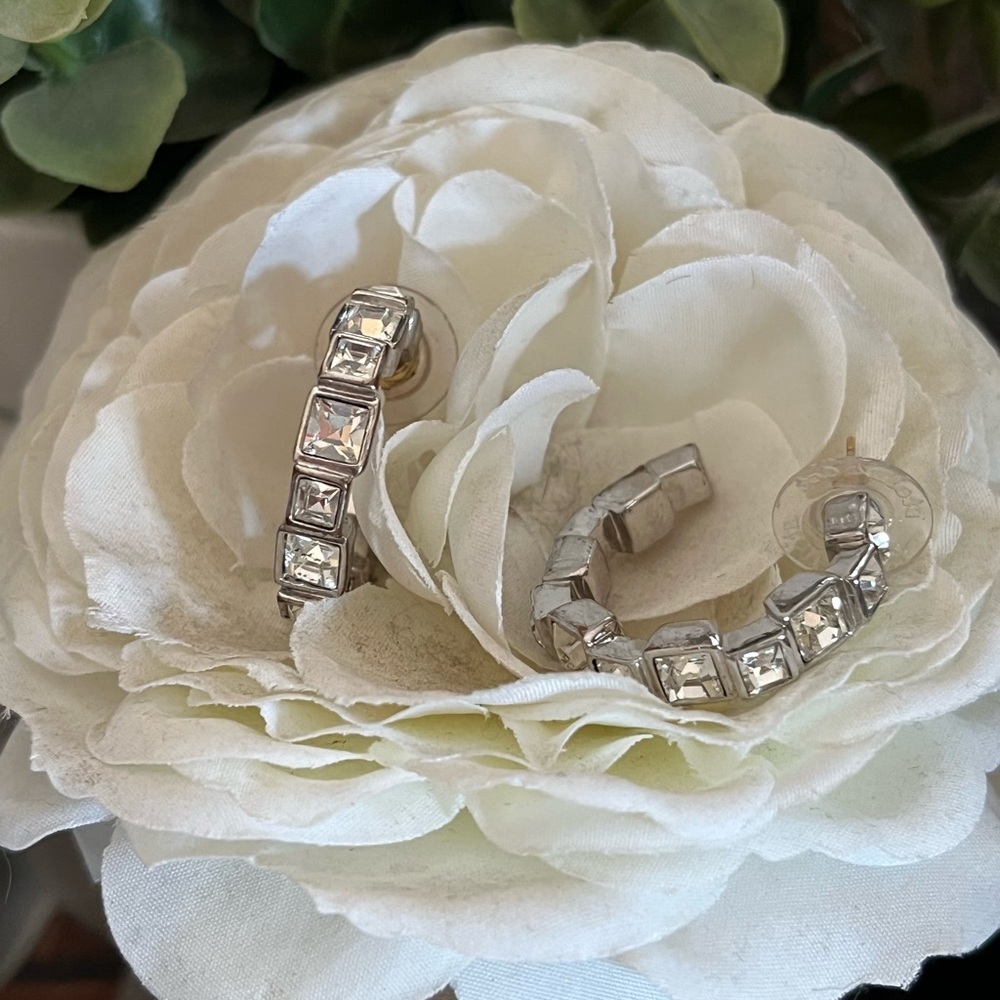 Fifth Avenue Hoops/Earrings